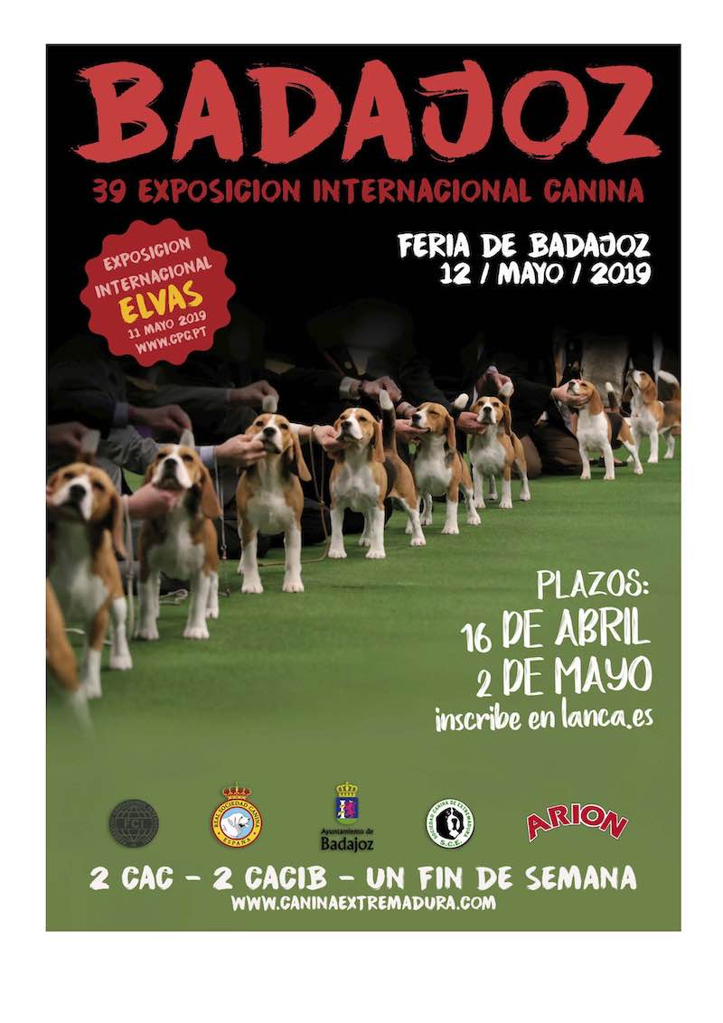 télex Flor de la ciudad Dictar Este domingo, 39 Exposición Canina Internacional en IFEBA | 48horasMagazine