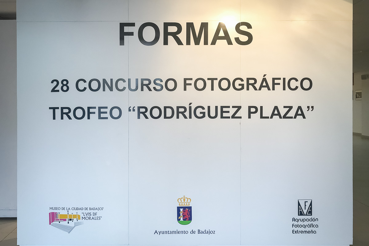 Exposición 'Formas'